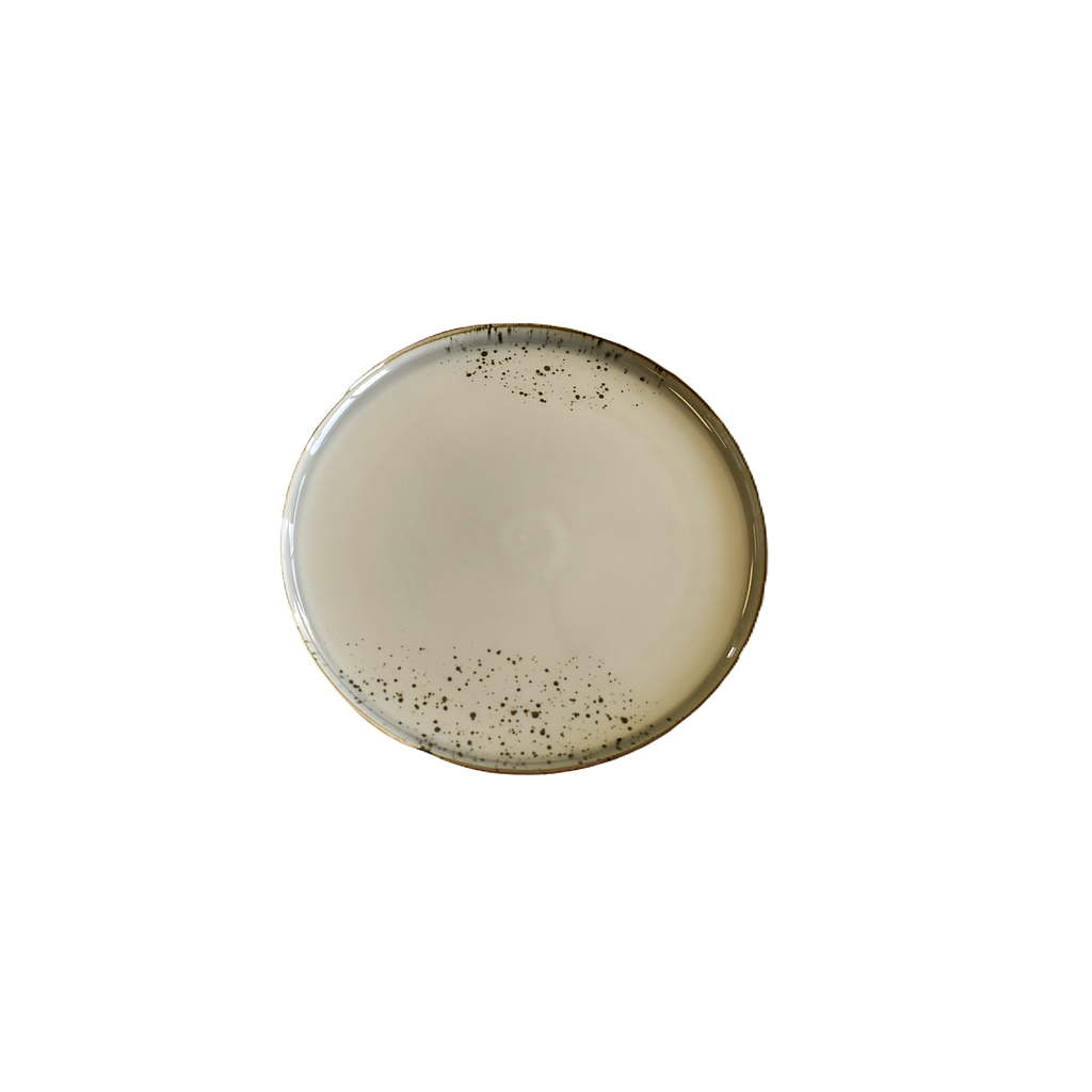 "Terra" Assiette Ronde 9.5'' Dap-Grise
